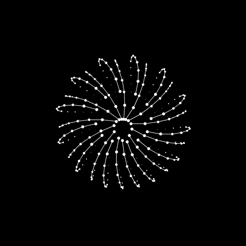 Lots of videos, Lots of images