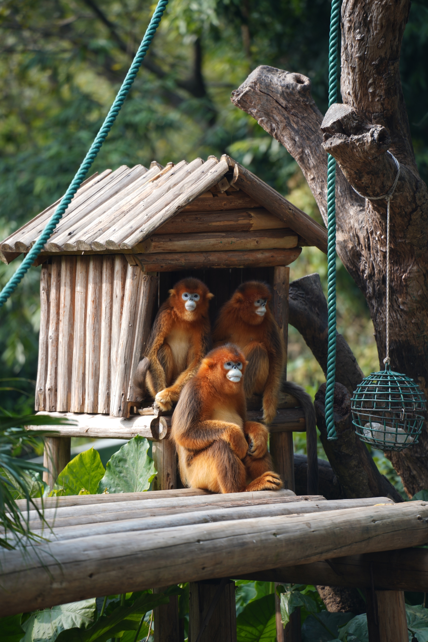 测试flashsale与自动折扣互斥逻辑