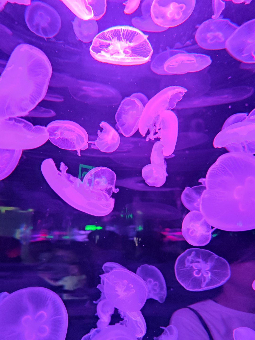 商品分类测试-无规格-有限库存-100