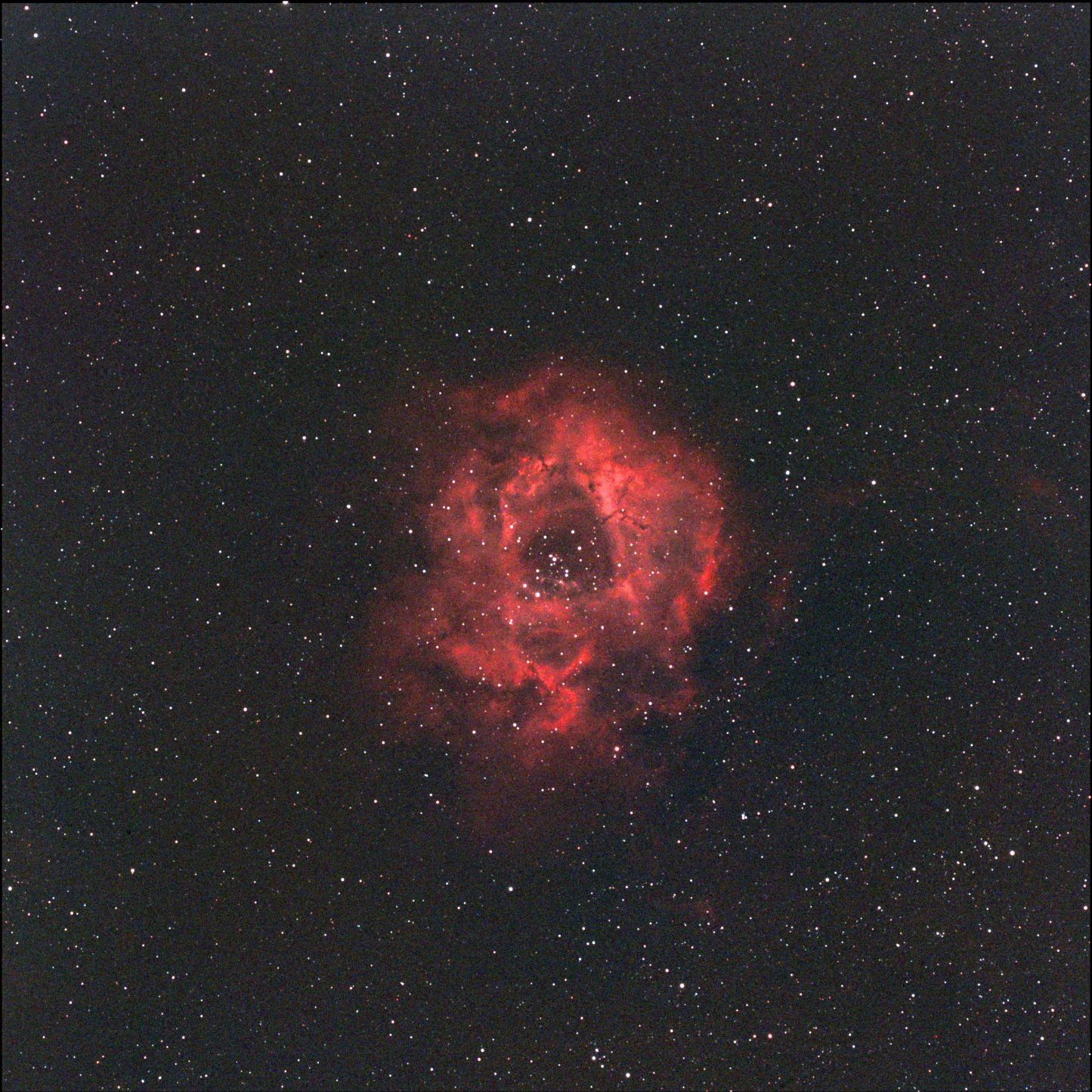 Lots of videos, Lots of images