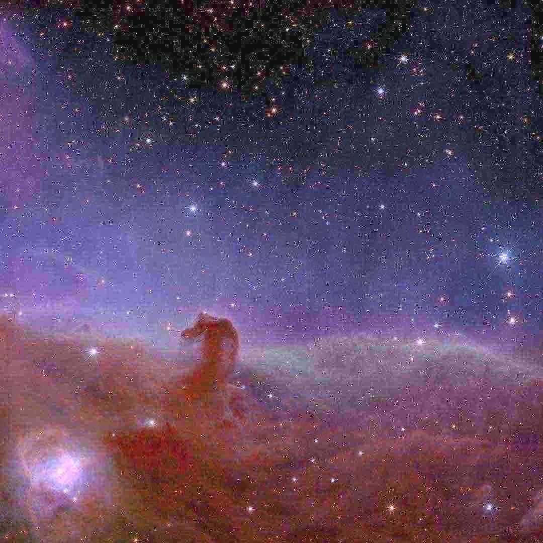 Lots of videos, Lots of images