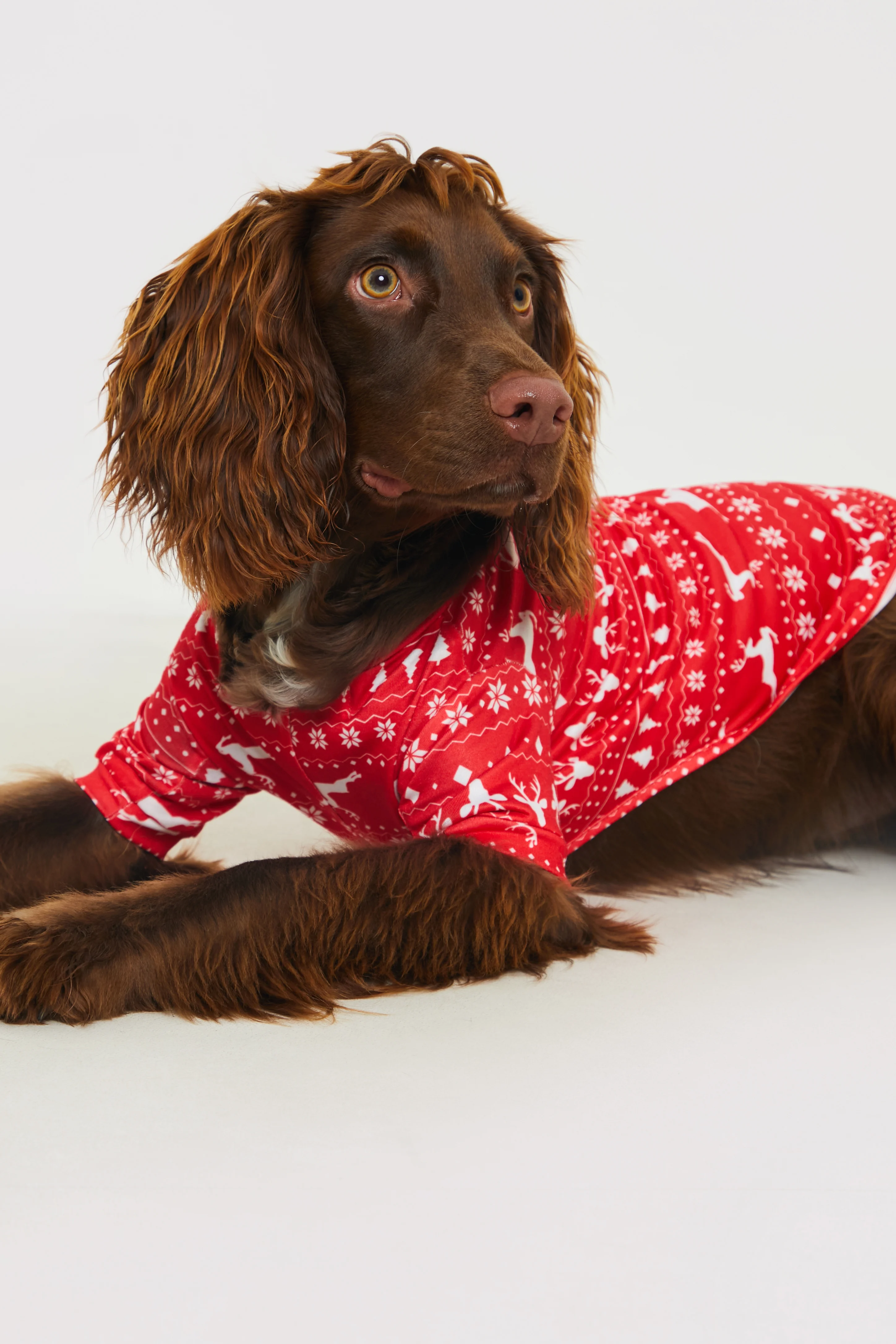 Reindeer Fairisle Dog PJ-In The Style
