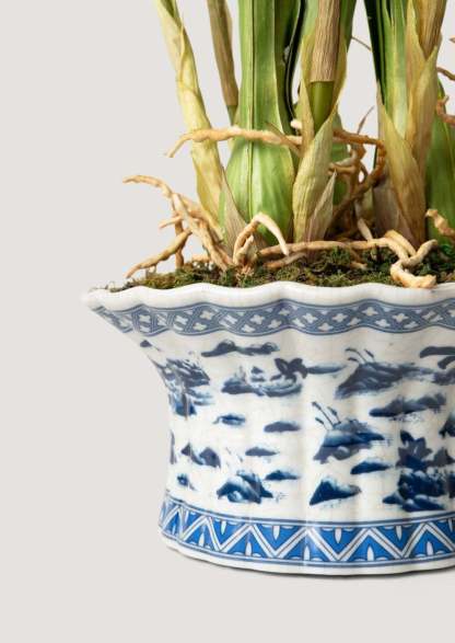 White Faux Orchid Arrangement in Blue Ceramic Pot - 27