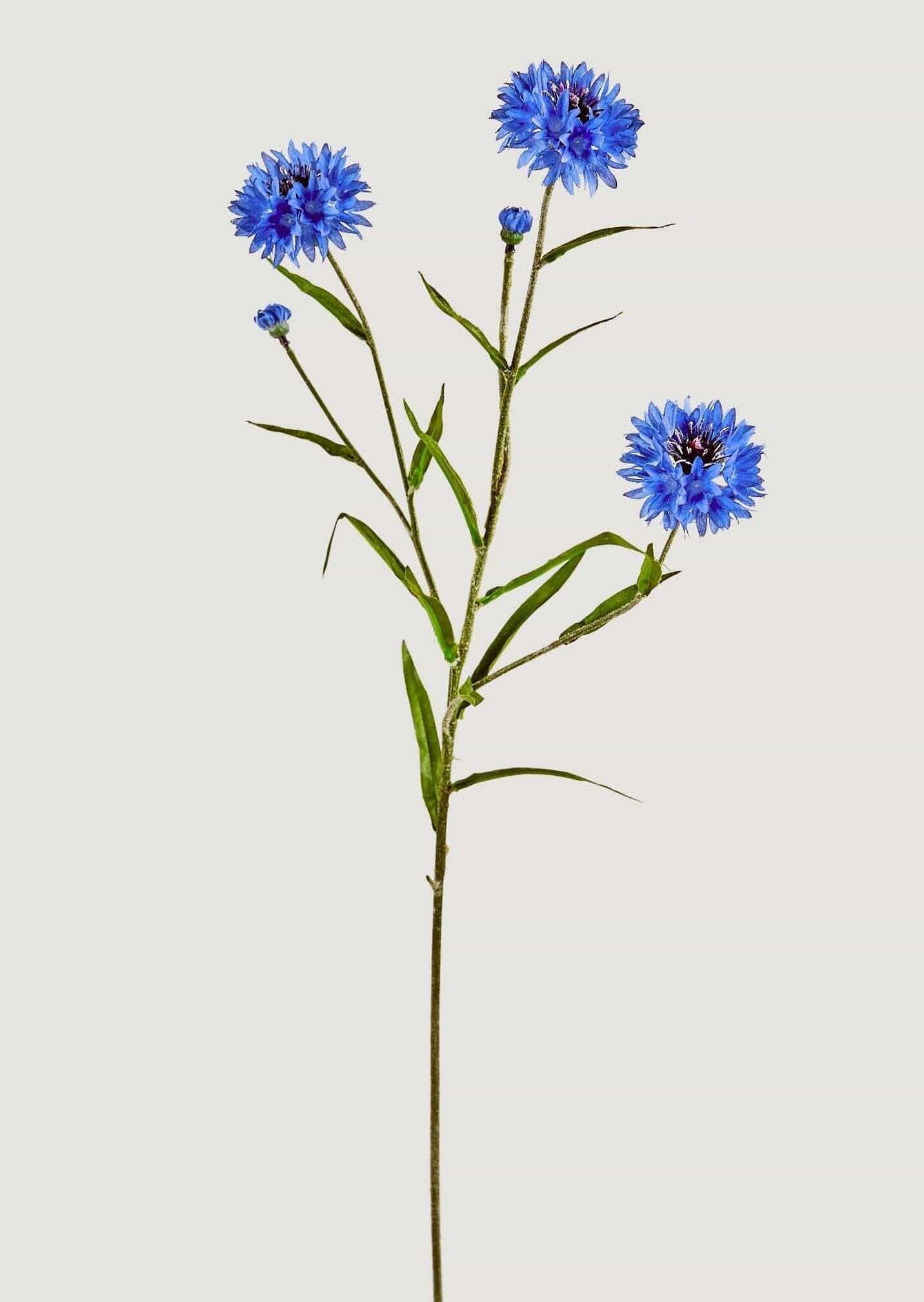 Blue Faux Cornflower Wildflowers - 25.5