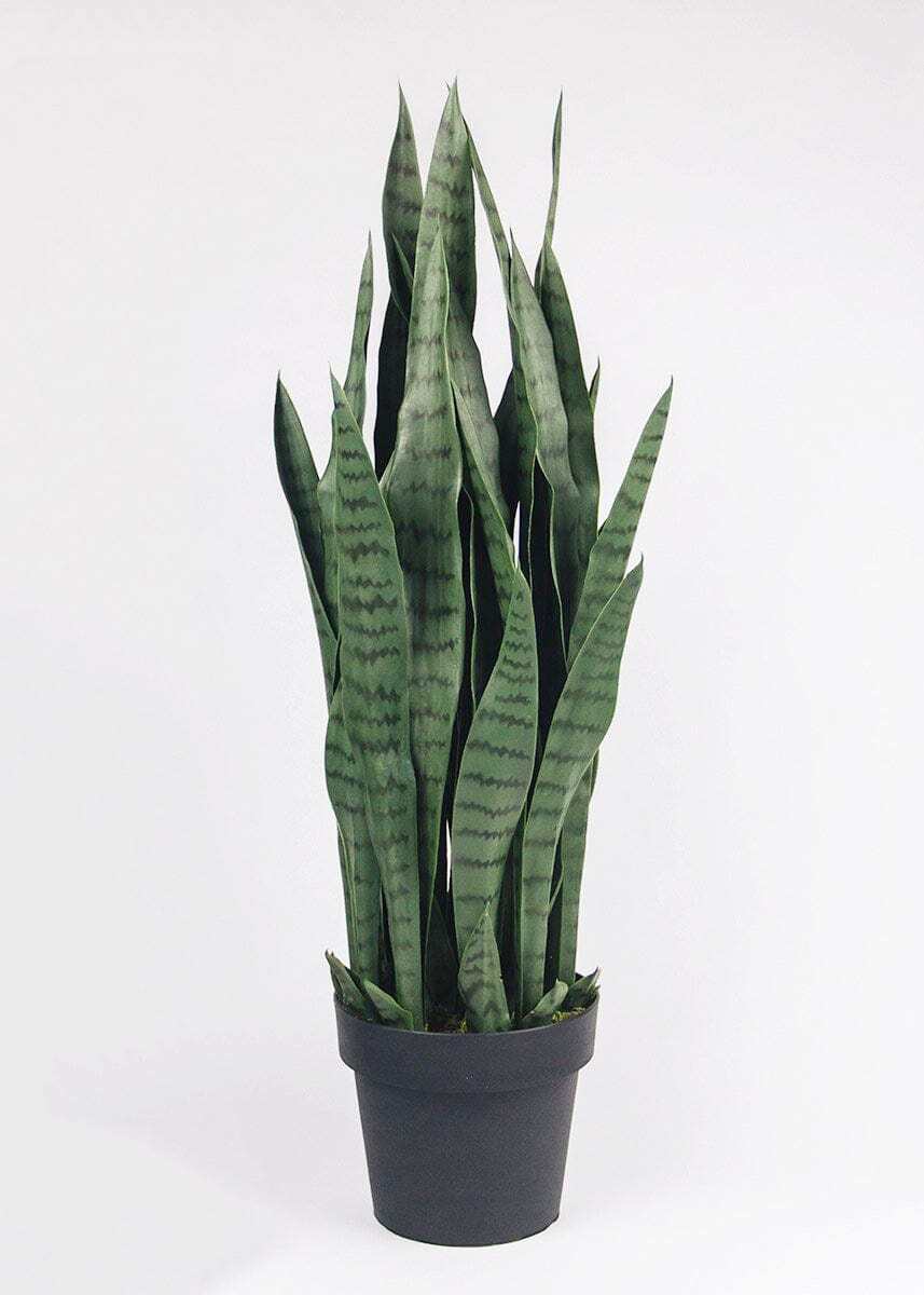Faux Indoor/Outdoor UV Treated Potted Snake Plant - 35