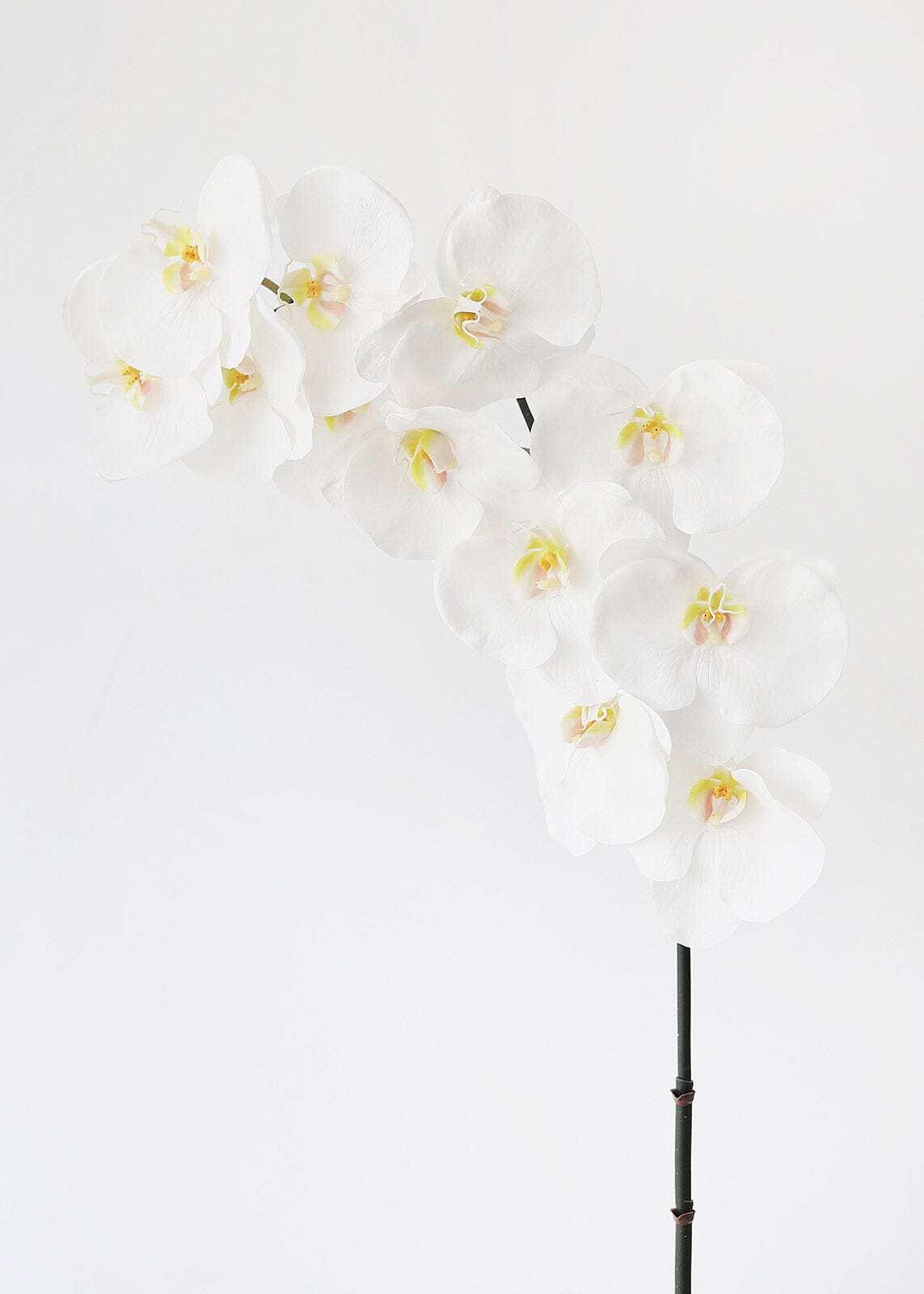 Large White Faux Orchids - 44