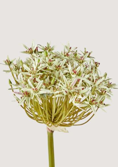Artificial Allium Flower in Green - 36