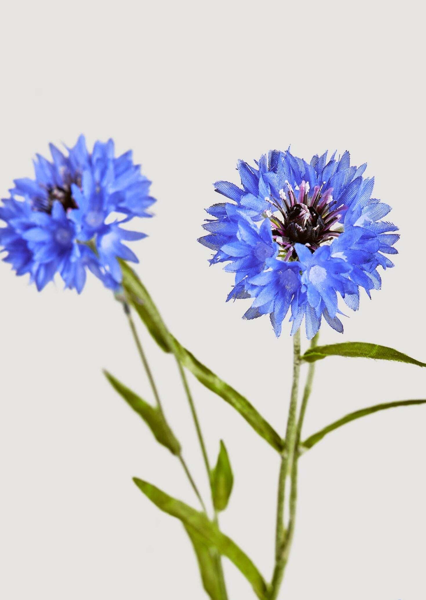 Blue Faux Cornflower Wildflowers - 25.5