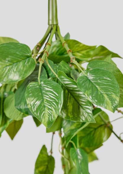 Real Touch Hanging Pothos Fake Plant - 22