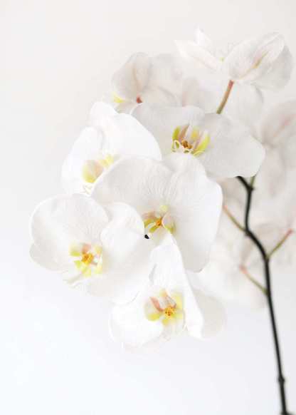 Large White Faux Orchids - 44