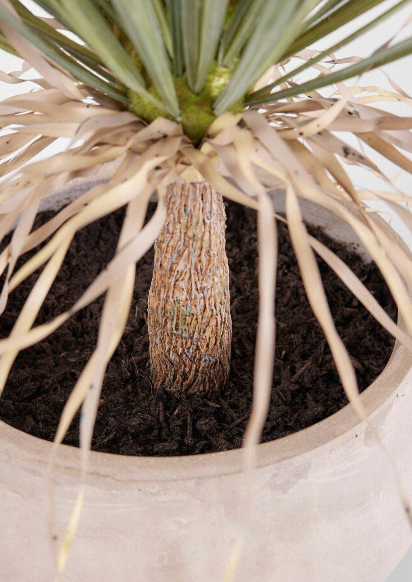 Faux Potted Palm Tree Plant in Cement Planter - 40