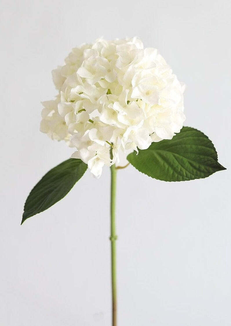 Real Touch Hydrangea in Talc White - 18