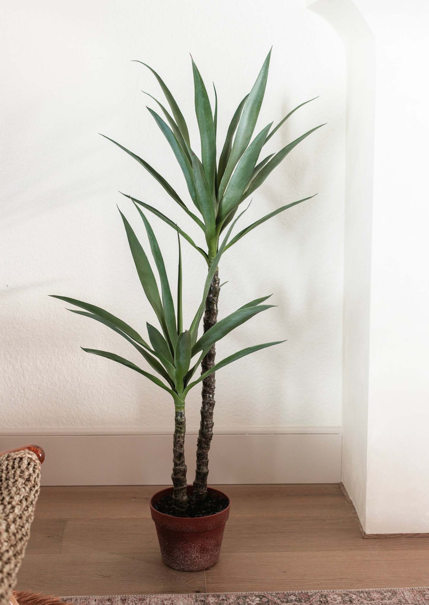 Artificial Potted Yucca Tree Plant in Pot - 44