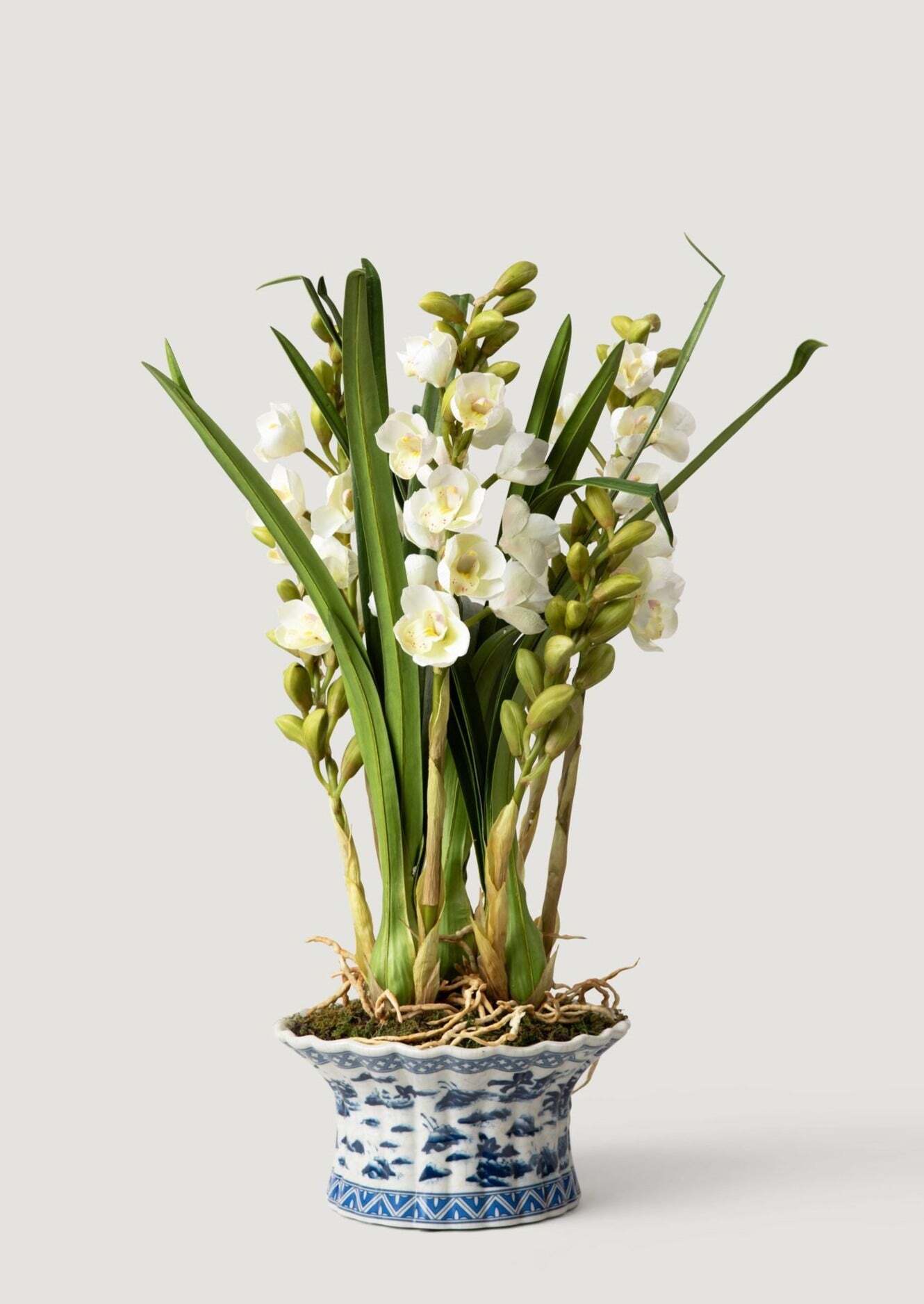 White Faux Orchid Arrangement in Blue Ceramic Pot - 27