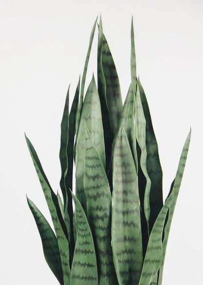 Faux Indoor/Outdoor UV Treated Potted Snake Plant - 35