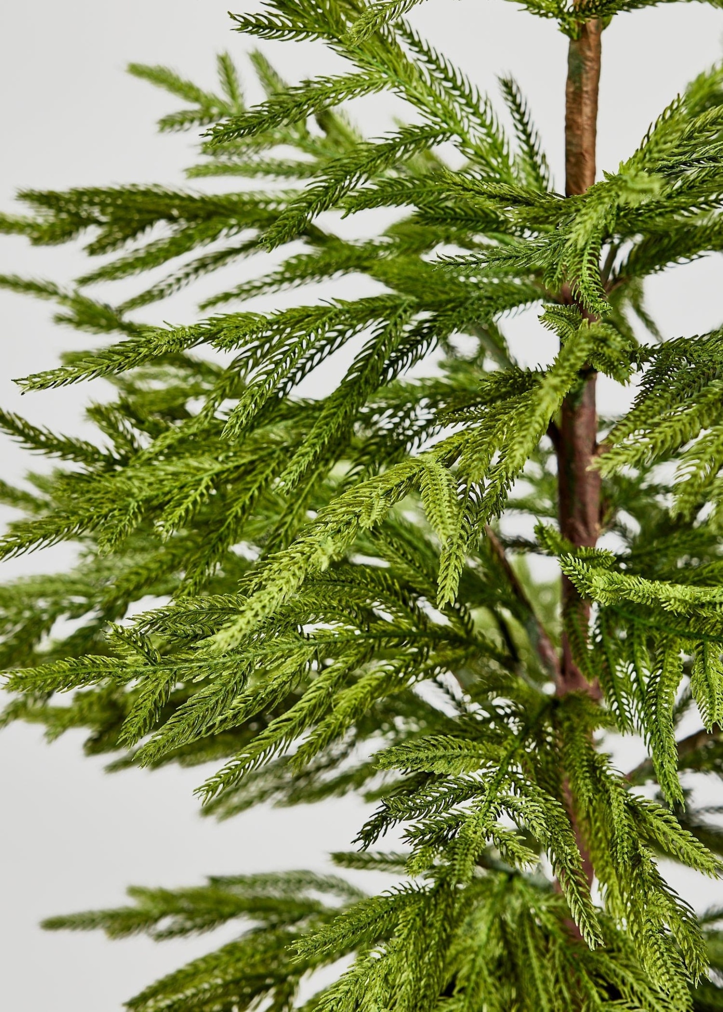 Afloral Artificial Norfolk Pine Tree - 36