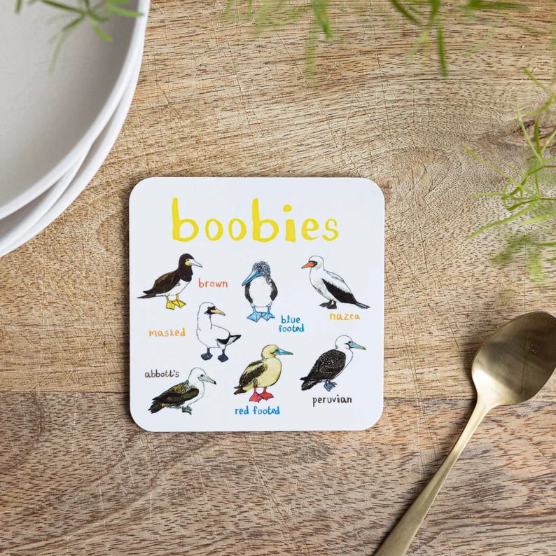 🔥🔥Last Day 49% OFF🔥🔥🐦Set of 6 Bird Pun Coasters
