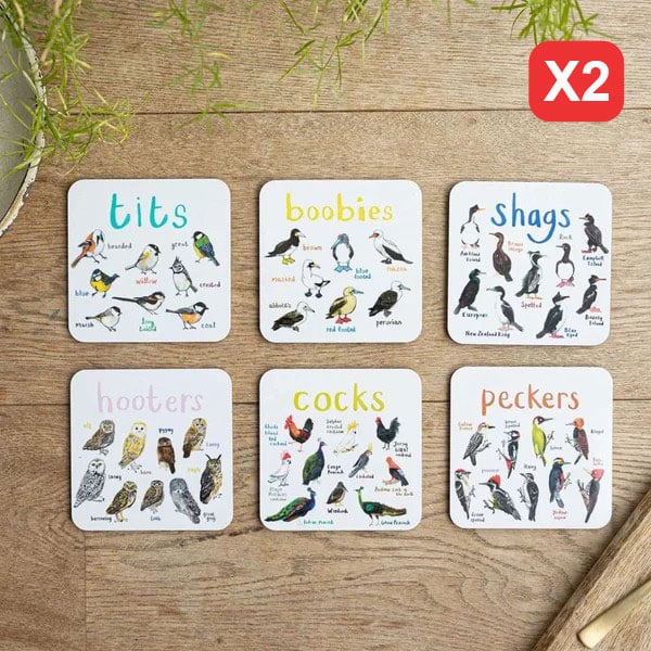 🔥🔥Last Day 49% OFF🔥🔥🐦Set of 6 Bird Pun Coasters