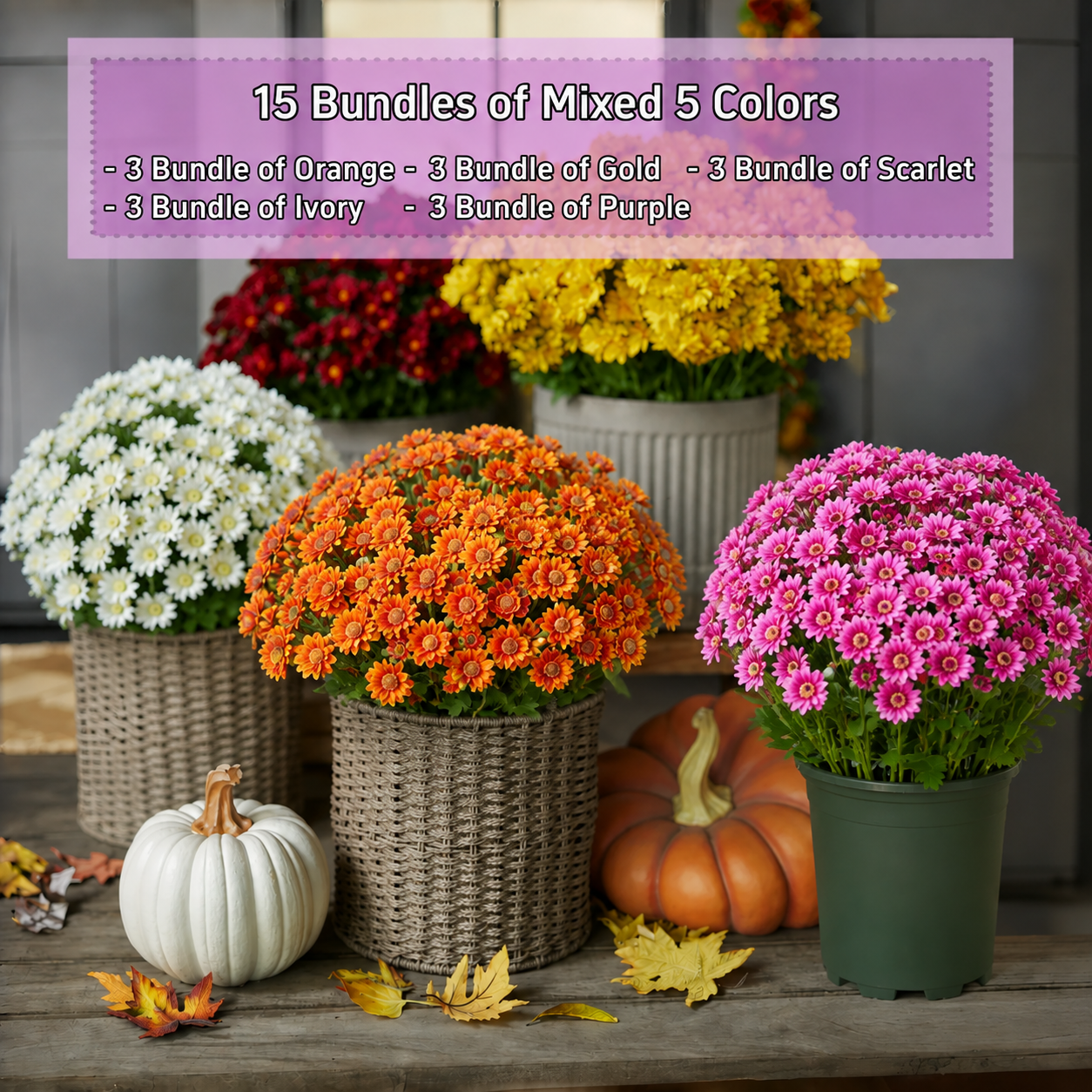 🌼Artificial Outdoor Sunset Mums Flowers - UV resistant, Waterproof, Windproof