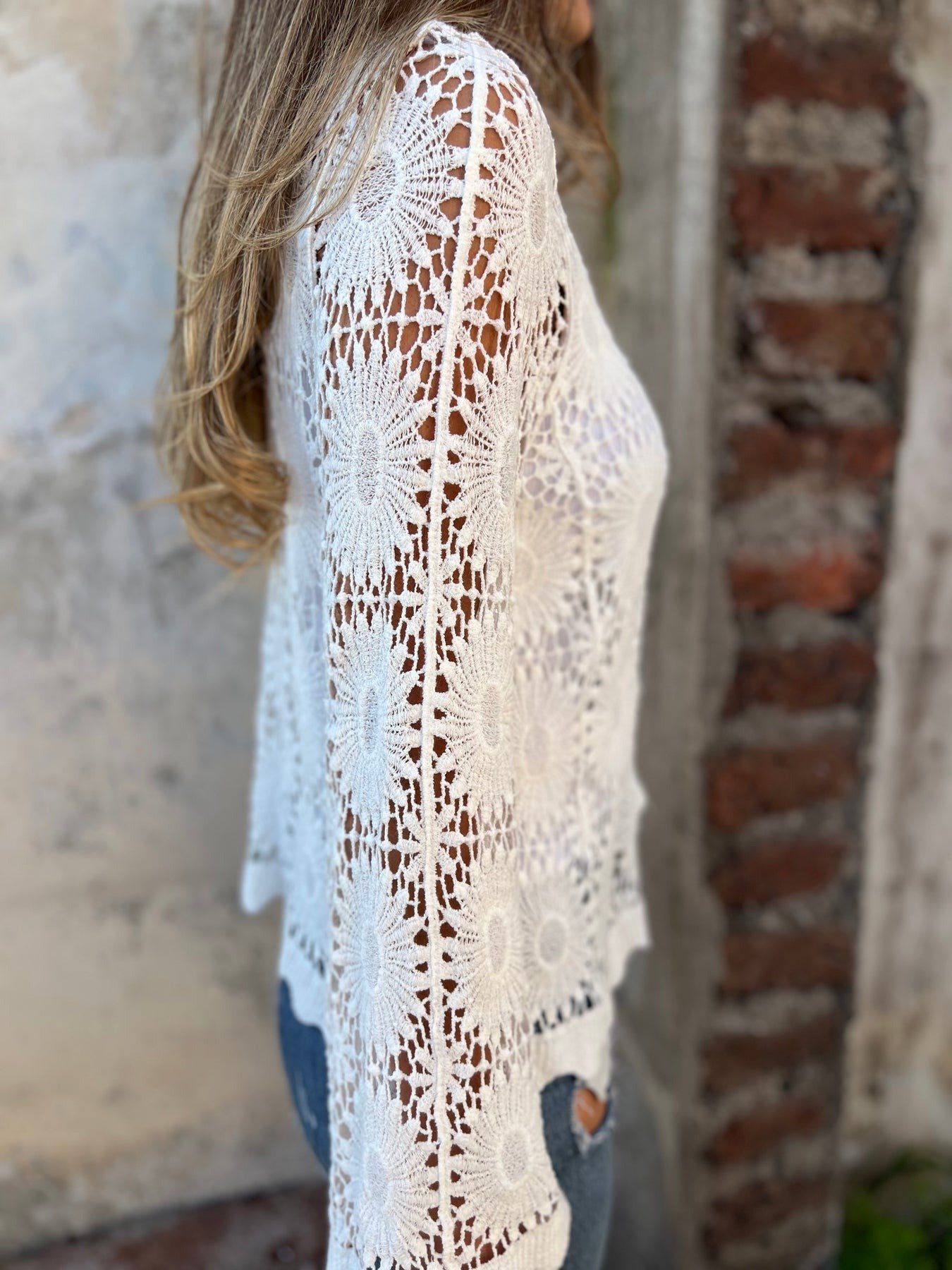 Cutout Embroidered V-Neck Button Long Sleeve Top