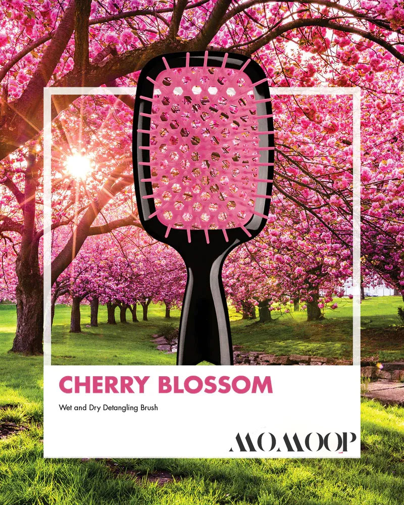 MOMOOP™Detangling HairBrush