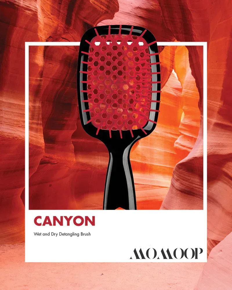 MOMOOP™Detangling HairBrush