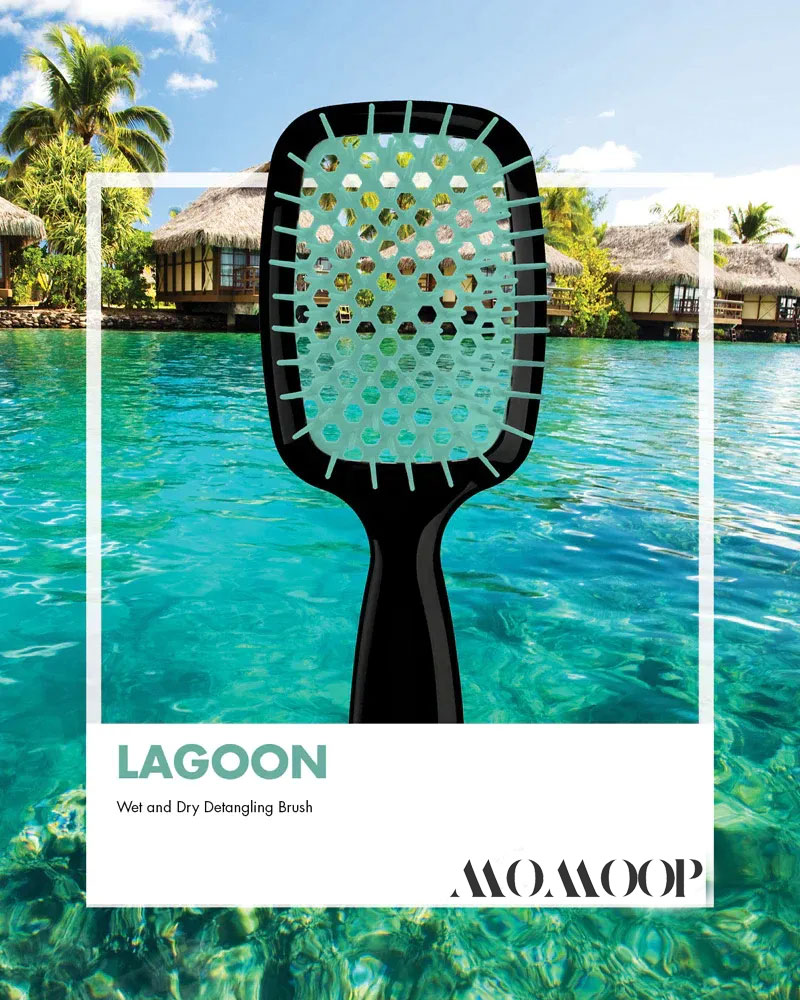 MOMOOP™Detangling HairBrush