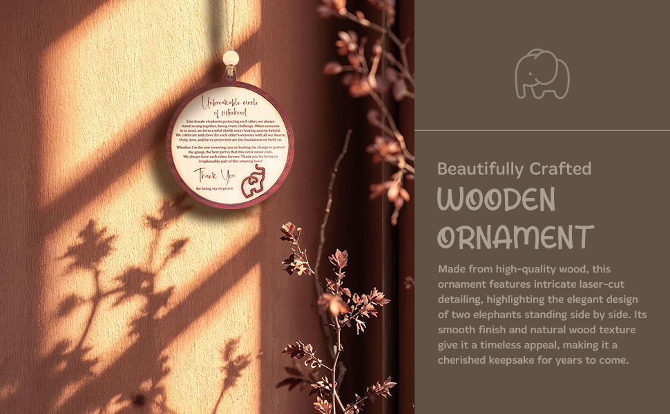 ONM-107 Elephant Circle