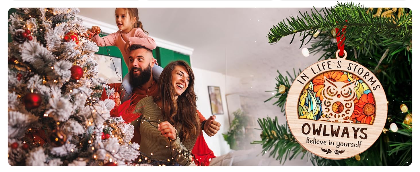 Owl Ornaments for Christmas Trees - Charming Owl Gifts for Women and Men