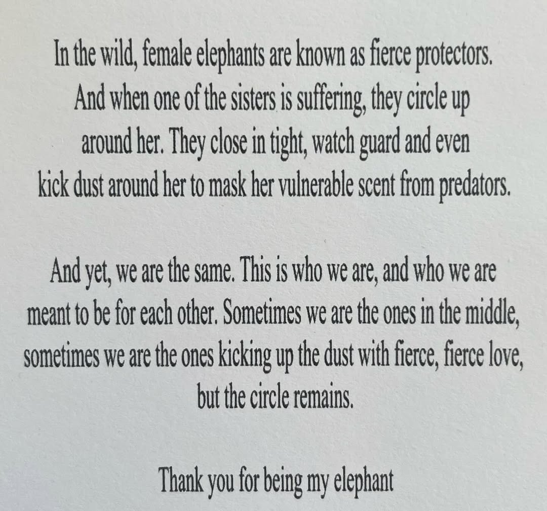 Sisterhood Elephant Ornament🐘 - Friendship gift