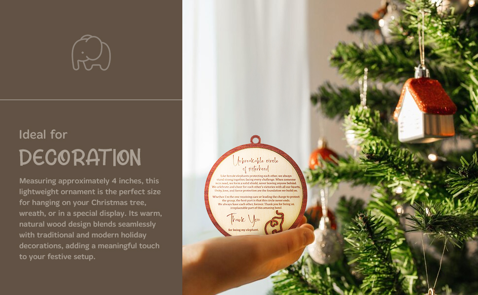 ONM-107 Elephant Circle