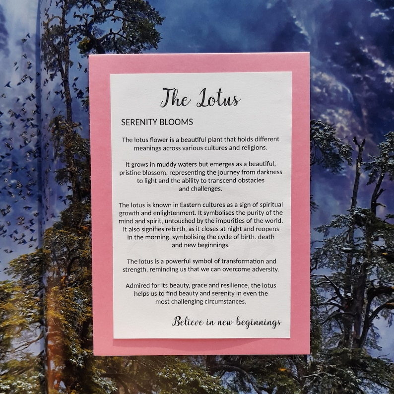 New Beginnings, Reiki Yoga Gift - Lotus Ornament with Story,