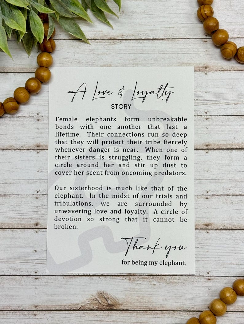 🔥HOT SALE 49% OFF - 🐘Friendship gift • Colorful Sister elephant ornament