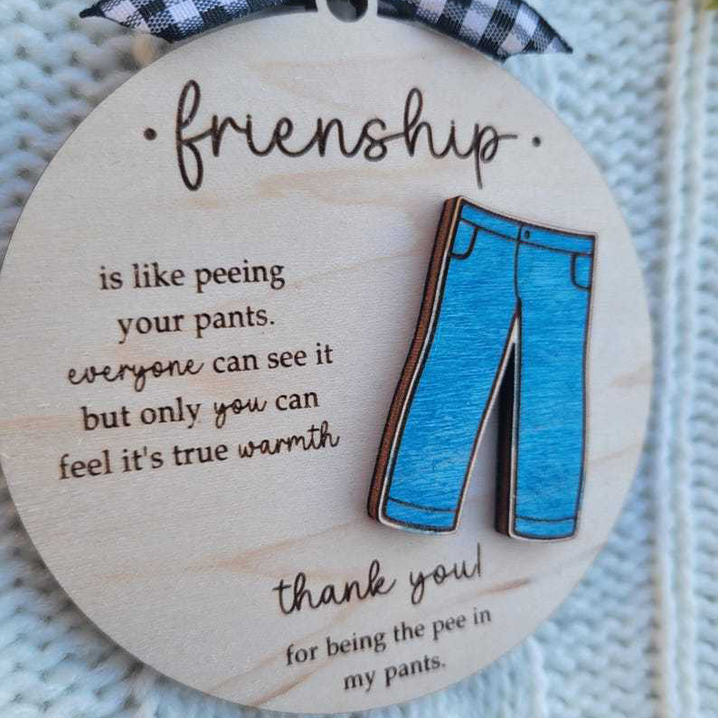 🔥HOT SALE 49% OFF - 👖 Friendship Is Like Peeing Your Pants Ornament