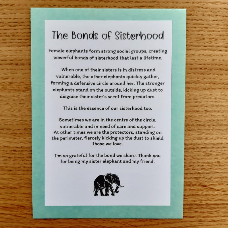 Sisterhood Elephant  Ornament | Thank you for being my Elephant