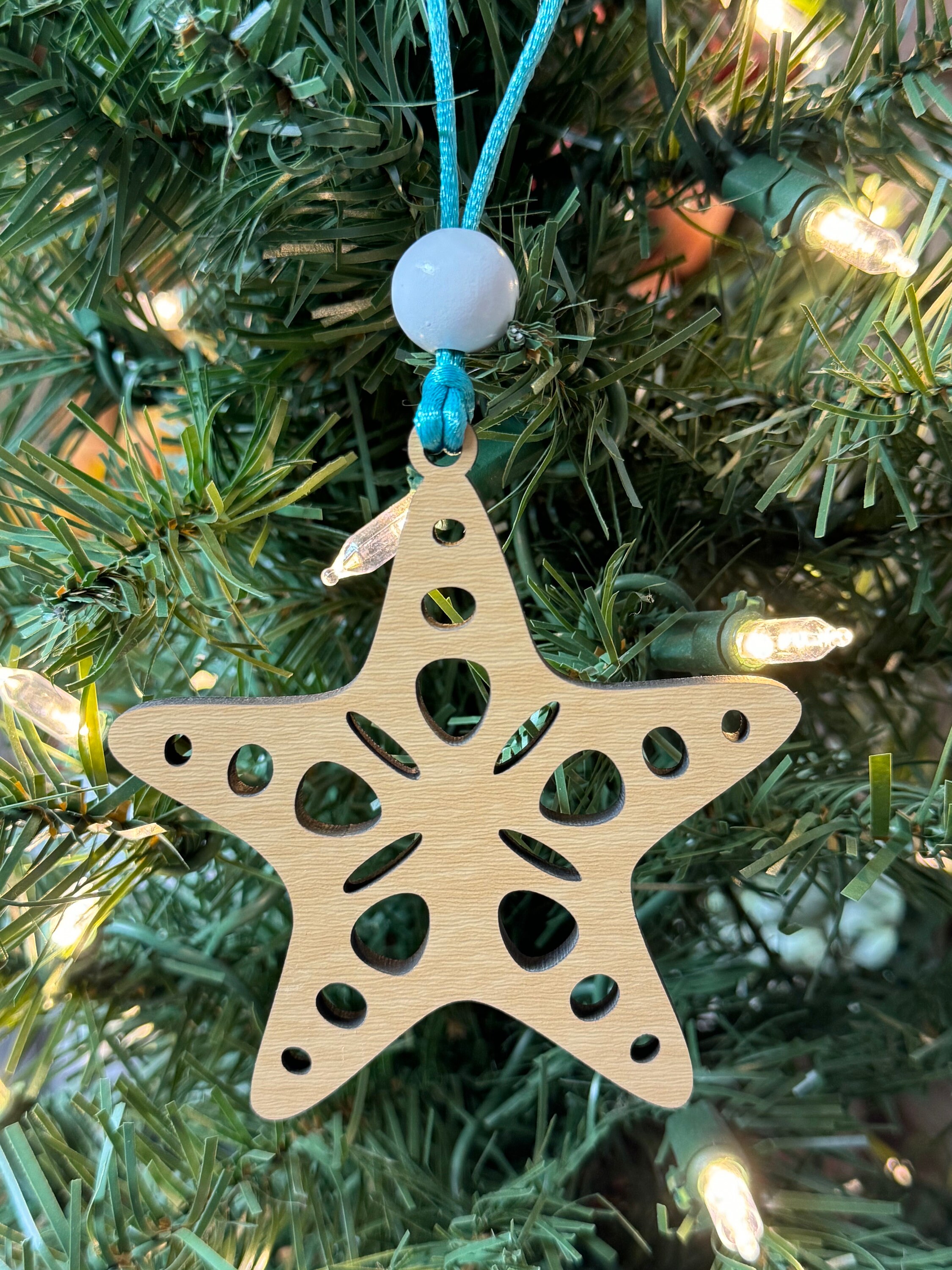 🎁Starfish story teacher appreciation gift