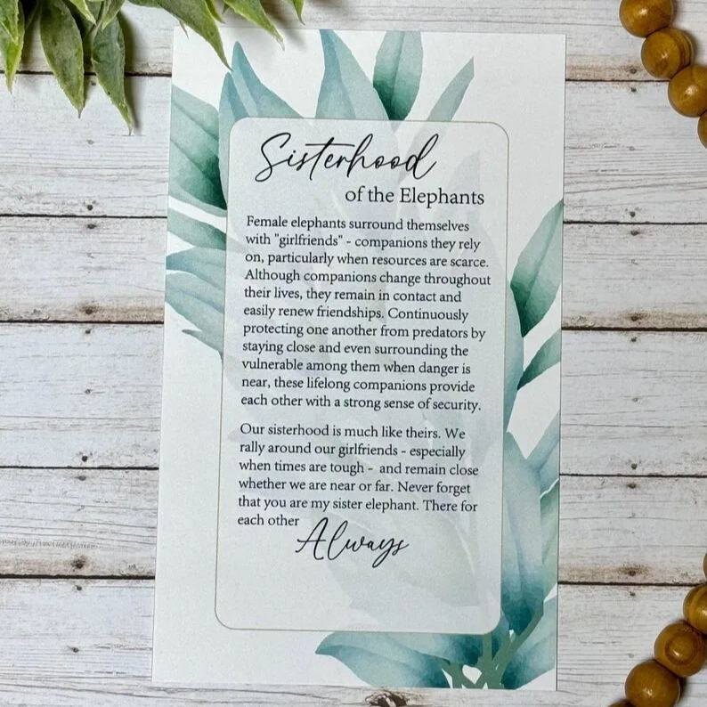  🐘Sister gift •  sisterhood elephant ornament