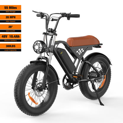 EB5 Electric Bike for Adults 