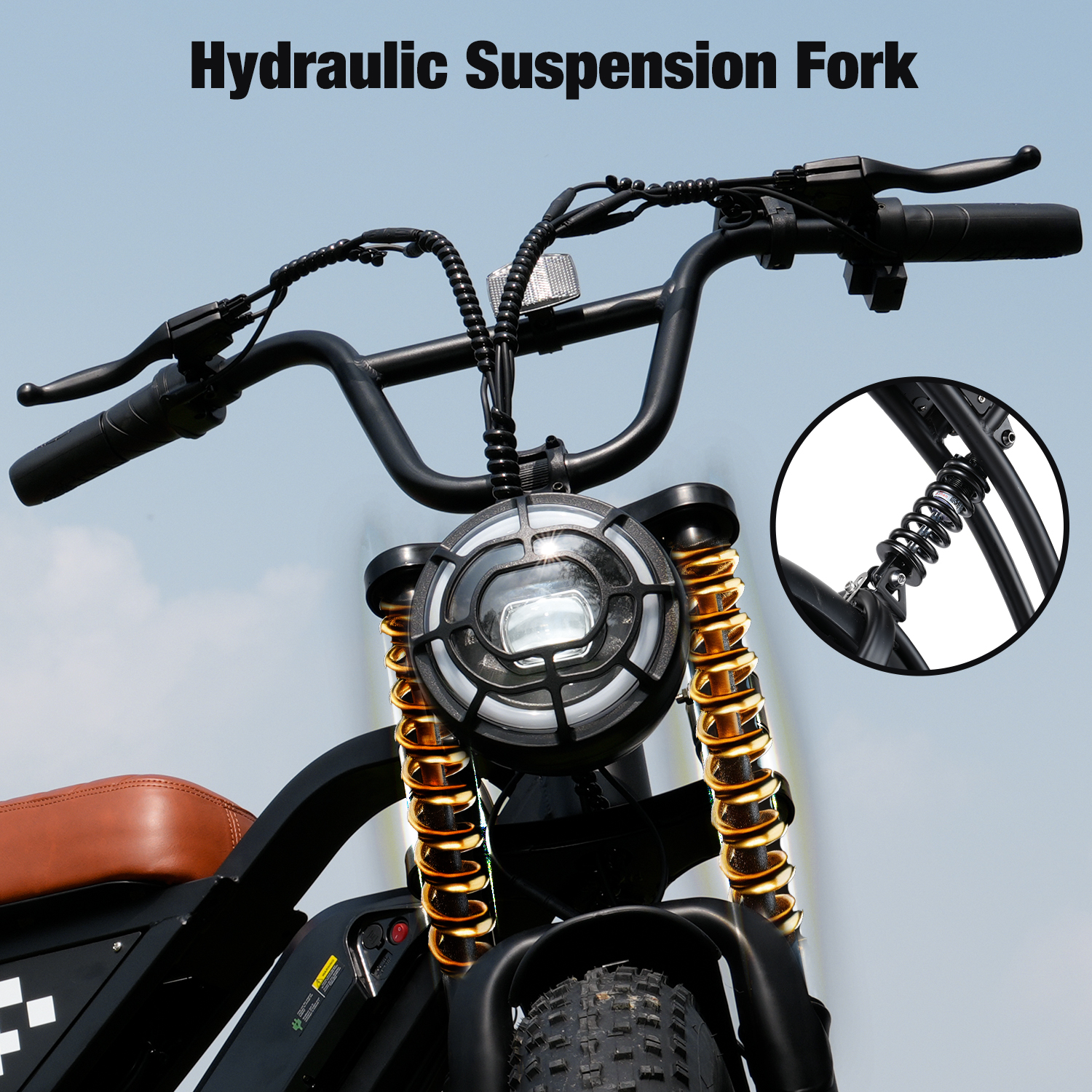 EB5 Electric Bike for Adults 