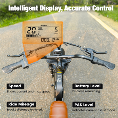 EB5 Electric Bike for Adults 