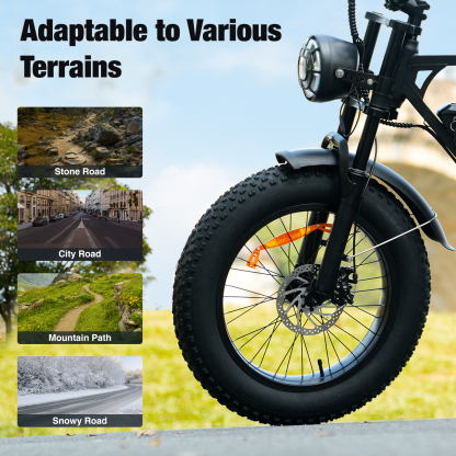 EB5 Electric Bike for Adults 