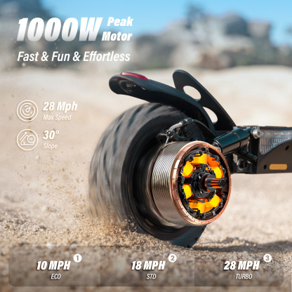 W9 Off-Road Electric Scooter Adults 1000W Motor