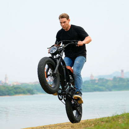 EB5 Electric Bike for Adults 