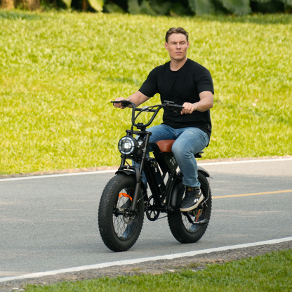 EB5 Electric Bike for Adults 