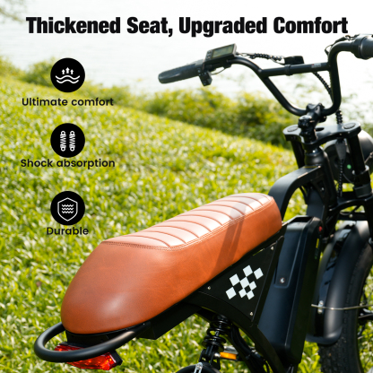 EB5 Electric Bike for Adults 