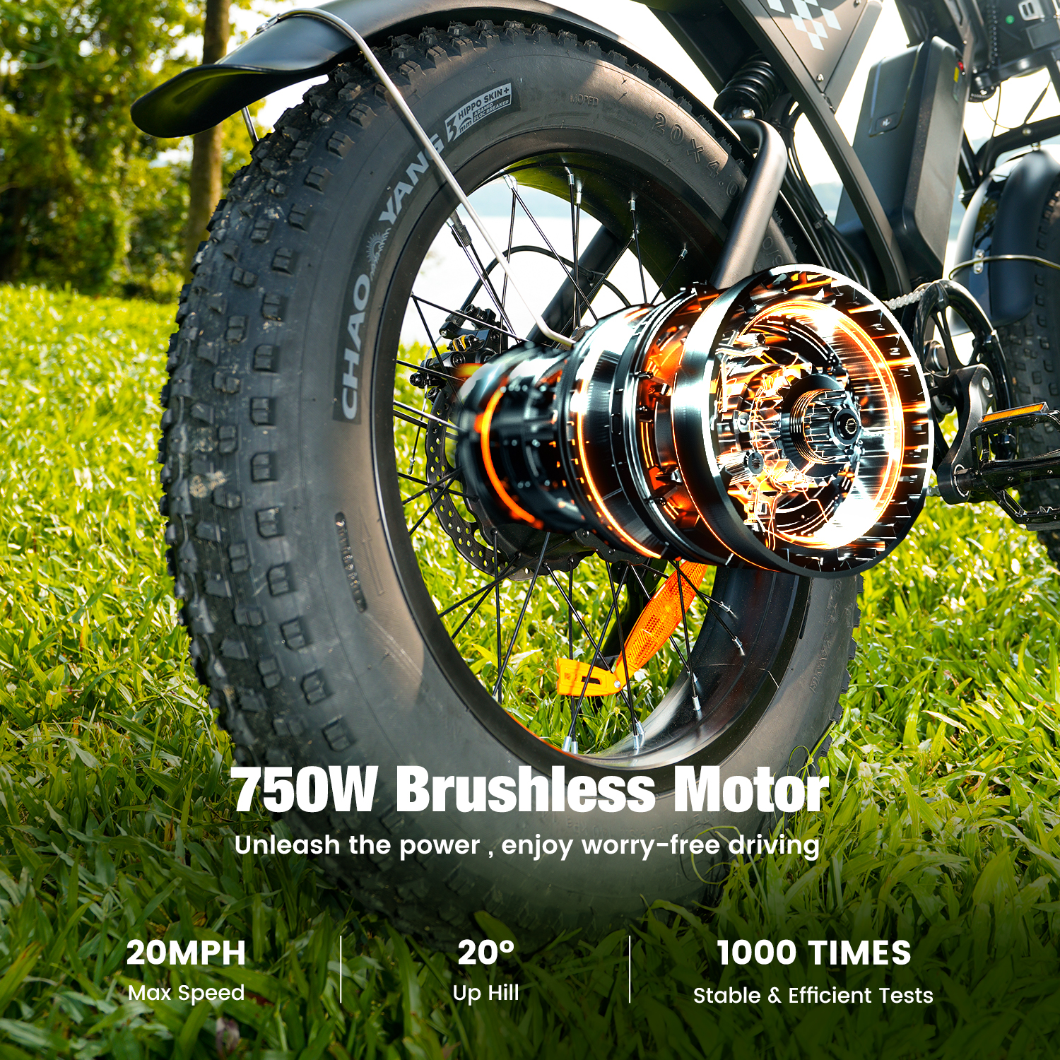 EB5 Electric Bike for Adults 
