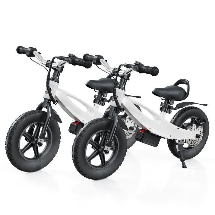 isinwheel SK12 Electric Bike for Kids