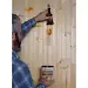 Zinsser 1 qt. Amber Shellac Traditional Finish and Sealer