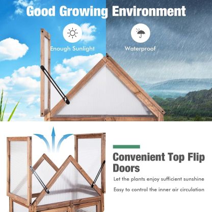 Cold Frame Greenhouse, Mini Wooden Greenhouse Raised Flower Planter Shelf w/Transparent Openable Roof, Double Doors & 3 Tier Shelves