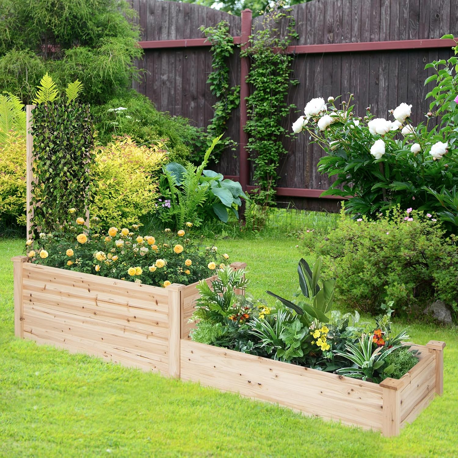 Raised Garden Bed with Trellis, Wood Garden Box w/Open Base Design & 2 Compartments, Outdoor Wooden Planter Box Kit for Vine Climbing, Fruits, Vegetables, Flowers, Herbs